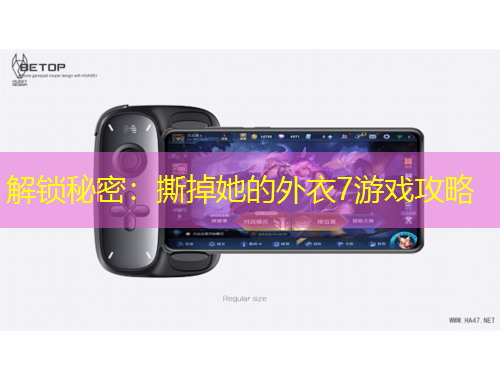解锁秘密:撕掉她的外衣7游戏攻略