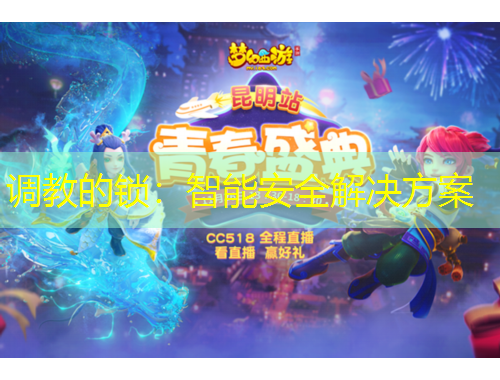 调教的锁：智能安全解决方案