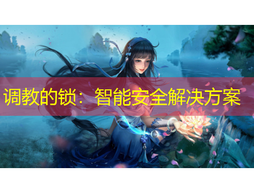调教的锁：智能安全解决方案