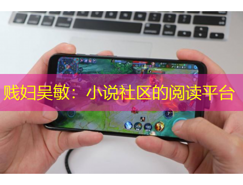 贱妇吴敏：小说社区的阅读平台