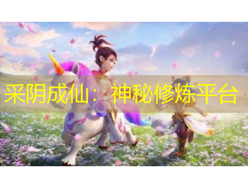 采阴成仙：神秘修炼平台
