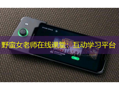 野蛮女老师在线课堂：互动学习平台