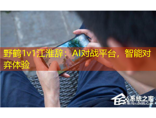 野鹤1v1江淮辞：AI对战平台，智能对弈体验