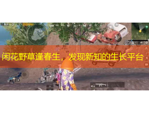 闲花野草逢春生，发现新知的生长平台
