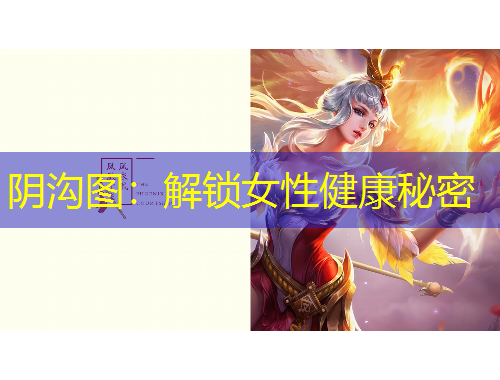 阴沟图：解锁女性健康秘密