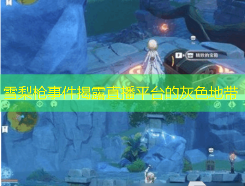 雪梨枪事件揭露直播平台的灰色地带