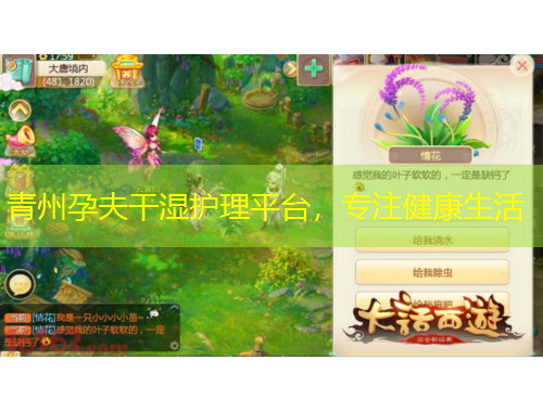 青州孕夫干湿护理平台，专注健康生活