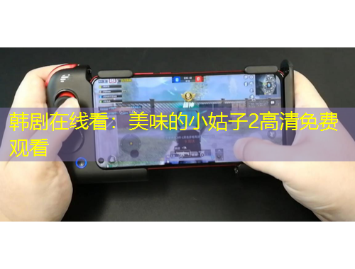 韩剧在线看：美味的小姑子2高清免费观看