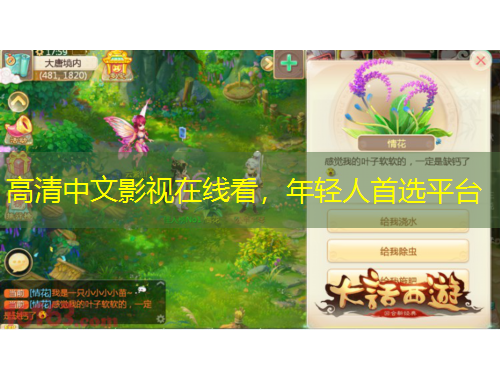 高清中文影视在线看，年轻人首选平台