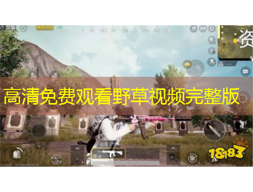 高清免费观看野草视频完整版