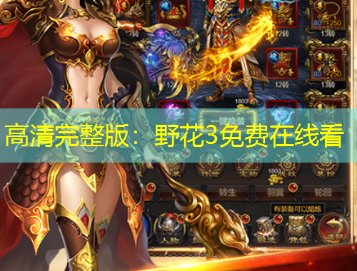 高清完整版：野花3免费在线看