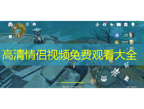 高清情侣视频免费观看大全