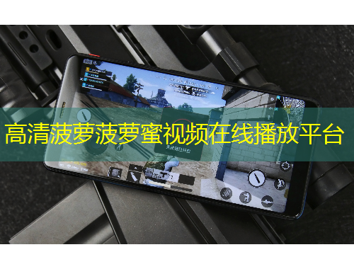 高清菠萝菠萝蜜视频在线播放平台