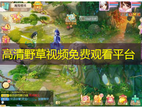高清野草视频免费观看平台