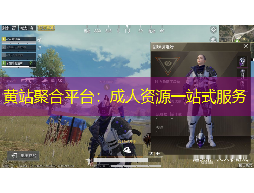 黄站聚合平台：成人资源一站式服务
