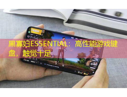 黑寡妇ESSENTIAL：高性能游戏键盘，触觉十足
