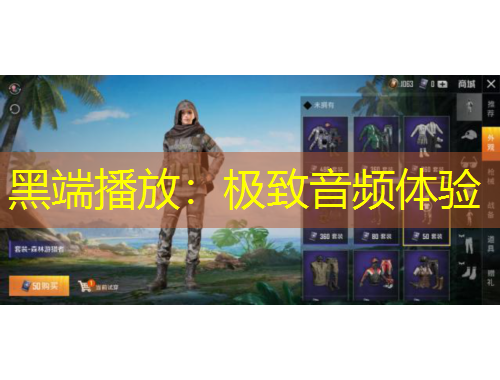 黑端播放:极致音频体验